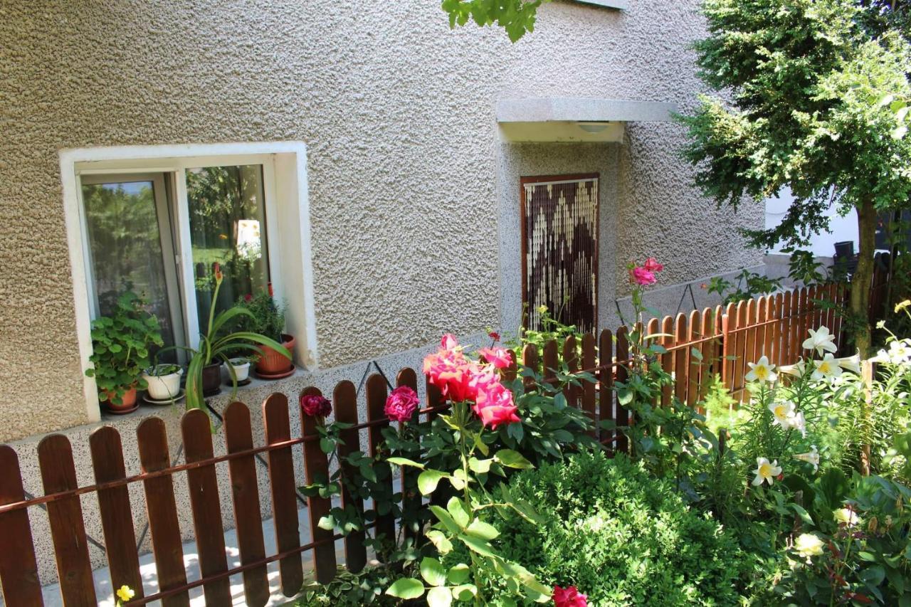 Apartment Raya Сапарева-Баня Экстерьер фото